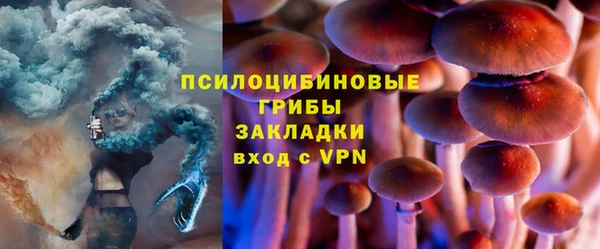 сатива Балабаново