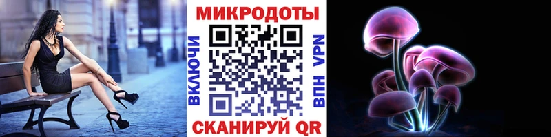 закладки  Белокуриха  Псилоцибиновые грибы прущие грибы 